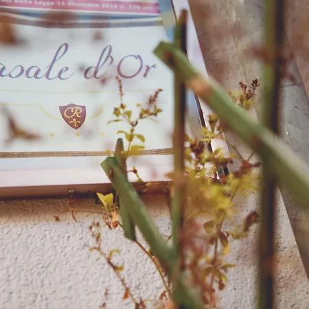 Casale D' Or 4* Palermo